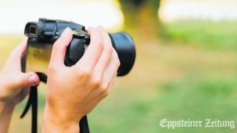 Aufruf zur Teilnahme am Fotowettbewerb „Blühende Gärten“..Foto: de.freepik.com