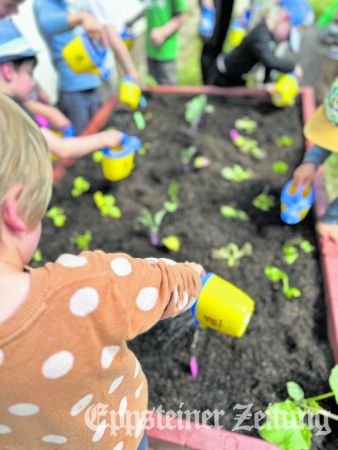 Am Hochbeet versorgen die Kinder die jungen Pflanzen mit Wasser.Foto: privat