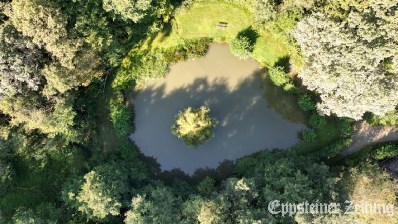 Die Teichanlage im Königsbachtal.Foto: privat