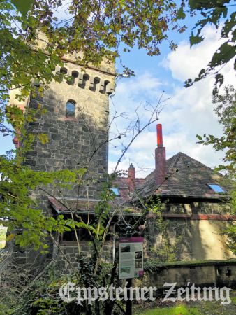 Eingerahmt von Bäumen hat der Turm den Charme eines „Lost Places“.Foto: Julia Palmert