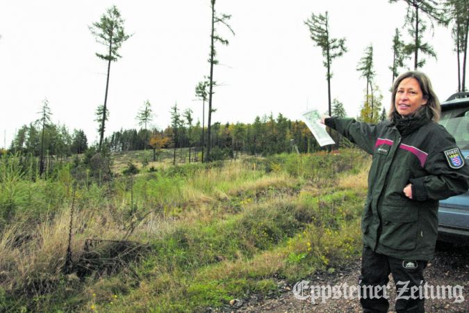 Katharina Herweh steht auf einem Forstweg in der Mark und zeigt nach Norden, Richtung Windvorrangfläche. Südlich des Wegs sollten eigentlich längst Pionierbaumarten wachsen. Foto: bpa