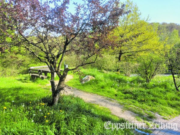 Die Grünfläche an der alten Eiche im Bremthaler Königsbachtal soll aufgewertet werden. .Foto: privat