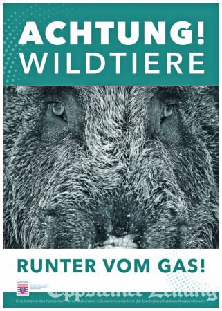 Warnung vor Wildunfällen im Straßenverkehr.Bild: www.tierschutz.hessen.de