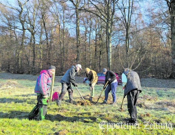 Baumpflanzaktion des BUND – Gemeinsam macht es Freude.Foto: Steffen Dittmer