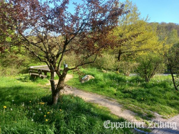 Der Platz an der ehemaligen Alten Eiche im Bremthaler K&ouml;nigsbachtal soll neu gestaltet werden.Foto: privat
