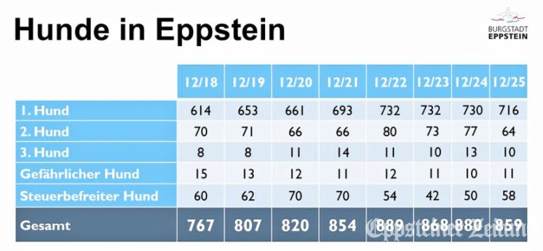 Entwicklung der gemeldeten Hunde in Eppstein.Grafik: Stadt Eppstein