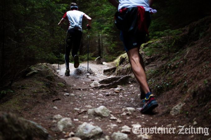 Cross-LaufFoto:  Free-Photos from Pixabay