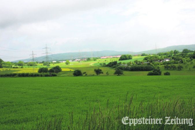 Im idyllischen Seyenbachtal zwischen Wildsachsen und Bremthal wird Landwirtschaft betrieben. Foto: EZ-Archiv