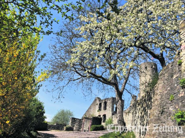 Zum Museumstag ist der Besuch von Burg Eppstein kostenlos. Foto: Burgmuseum