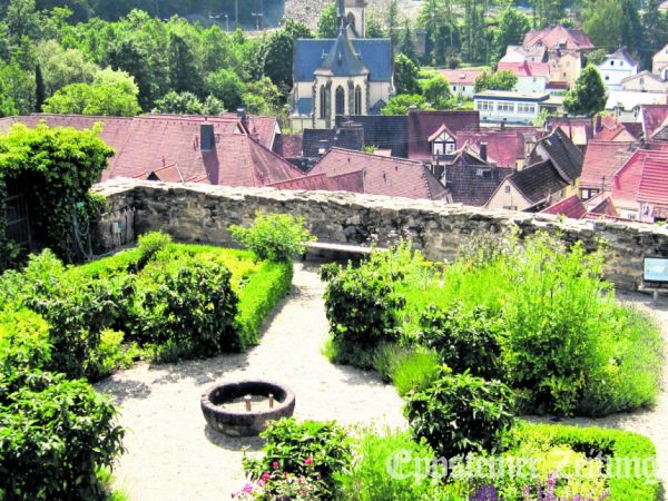 Im Altangarten der Burg wachsen viele Heilkräuter.Foto: Burgmuseum