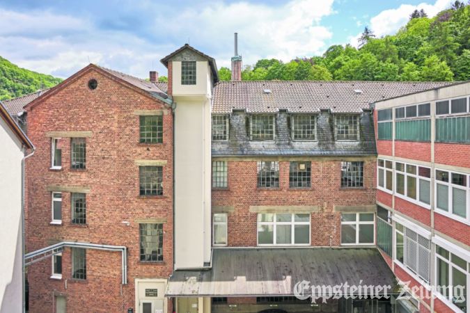 Blick von der Burg auf Firmengebäude von Eppstein Foils. Foto: Walter Adler/adler-photoart.de