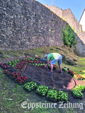 Martin Alberts bepflanzt das Stadtwappen in der Wooganlage mit Begonien in den Farben rot und weiß – wie seit Jahren.Foto: privat