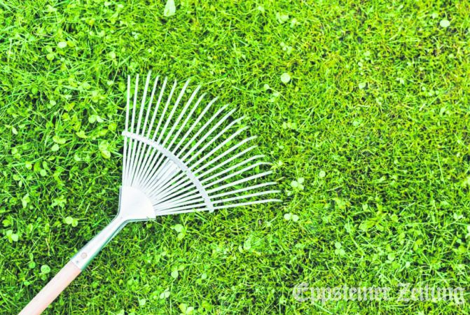 Gartenabfälle .
Foto: freepik.com