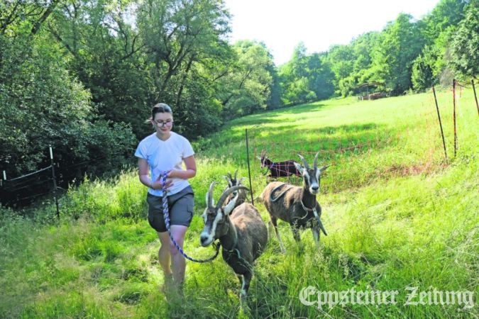 Ulla hat während Katjas Auslandsaufenthalt die Tiere zusammen mit Vater Ingo versorgt.Foto: Beate Schuchard-Palmert