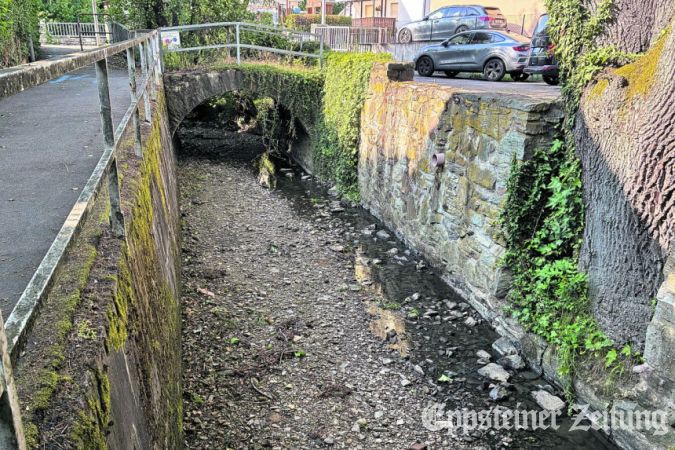 Aktuelles Bild vom Westerbach (Eschborn-Niederhöchstadt) Foto: MTK-Pressestelle
