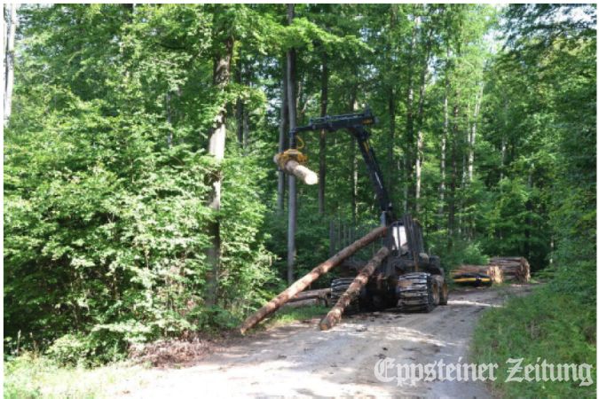 Arbeitssicherer und bestandspflegerischer Forstmaschineneinsatz: Forwarder mit Fahrbändern.Foto: Reinbold/Hessen Forst