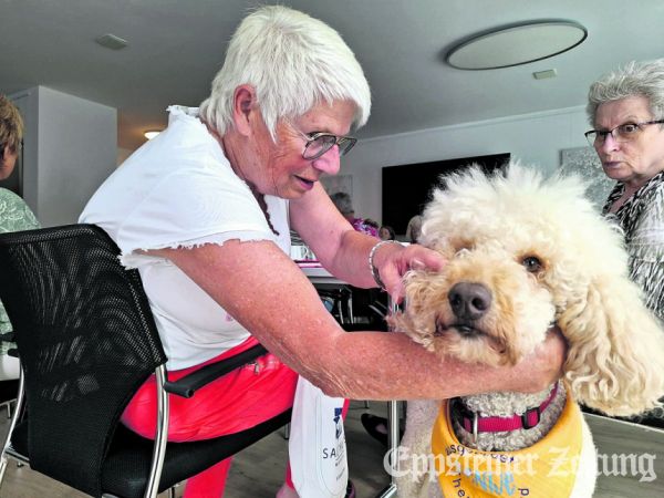 Therapiehund Bentje lässt sich gduldig streicheln.Foto: privat