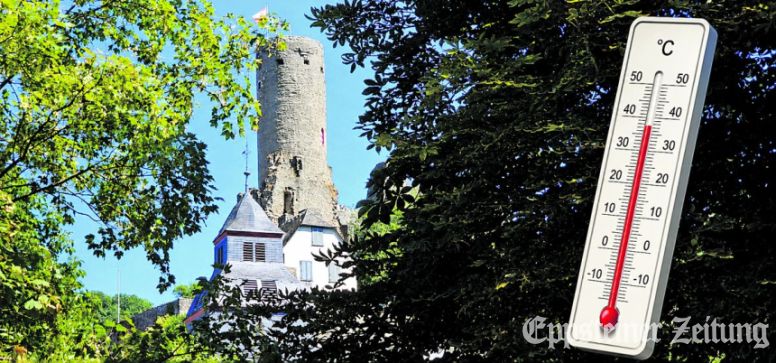 Burg Eppstein umgeben von Grün.
Symbolbild: Stadt Eppstein