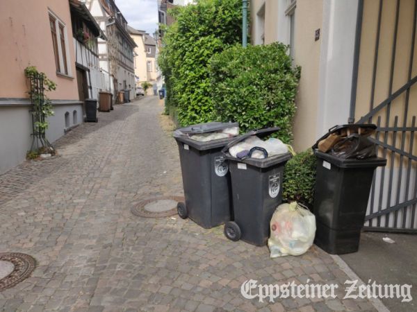 In der Hintergasse blieben die Mülltonnen tagelang ungeleert an der Straße stehen.Foto: privat