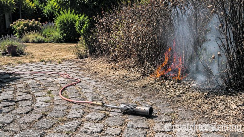 Kopfsteinpflaster, trockene Hecke und Gasbrenner: eine gefährliche Kombination, die in der Burgstadt schon drei Feuerwehreinsätze auslösteKI-Beispielbild: Stadt Eppstein