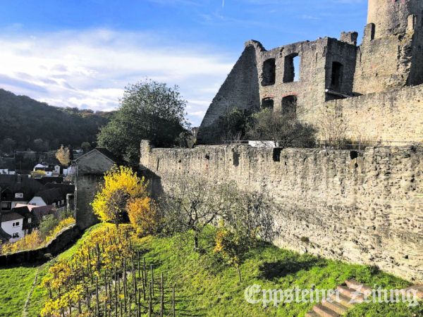 Der Wingert im Südzwinger der Burg. Foto: Burgmuseum Eppstein