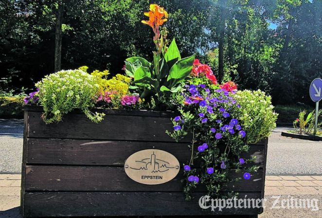Farbenfrohe Pflanzungen in Kübeln und Beeten verschönern das Stadtbild.Foto: Stadt Eppstin