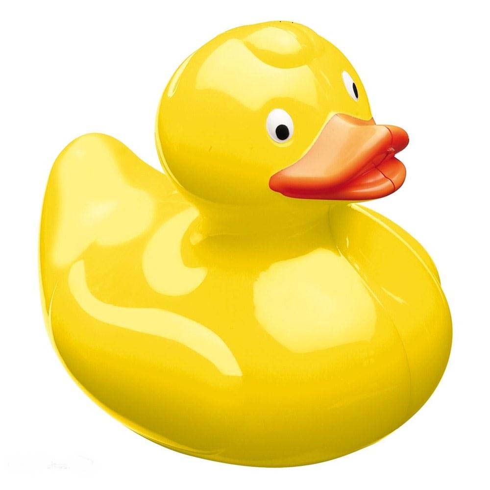 ente-rgb-pfad.jpg